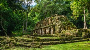 Vue du face du temple de Yaxchilán