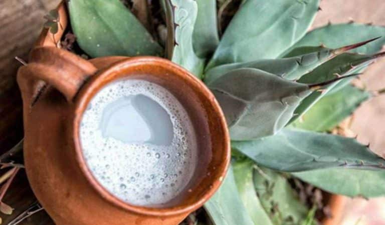 Verre de Pulque