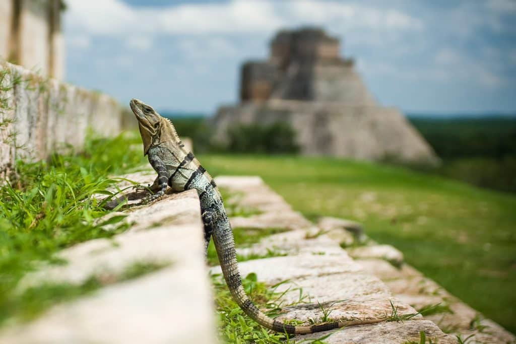 Voyage au Mexique en février : météo, affluence & évènements