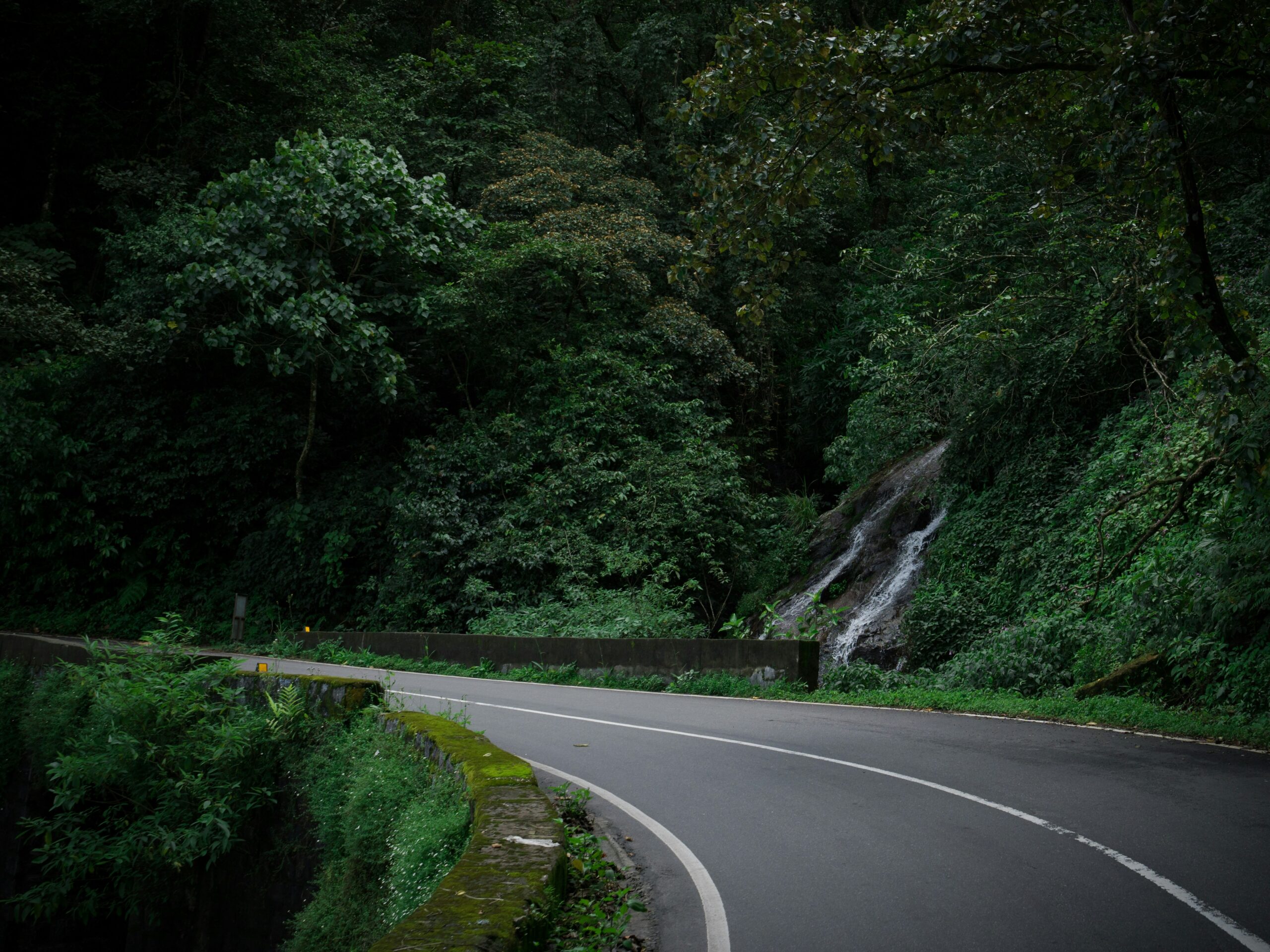 Um caminho sinuoso pela floresta tropical com uma cascata