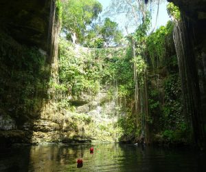 a body of water with trees around it