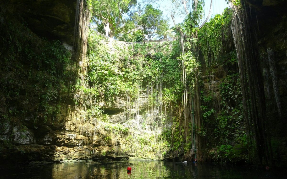 a body of water with trees around it