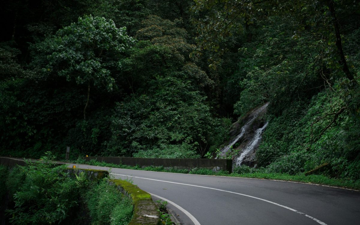 Um caminho sinuoso pela floresta tropical com uma cascata