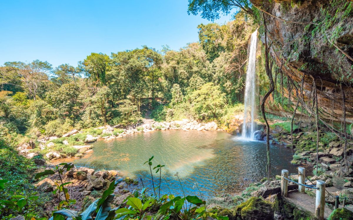 Vue de la cascade de Misol Ha de coté