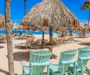 Guide sur les palapas : Origines, types et construction