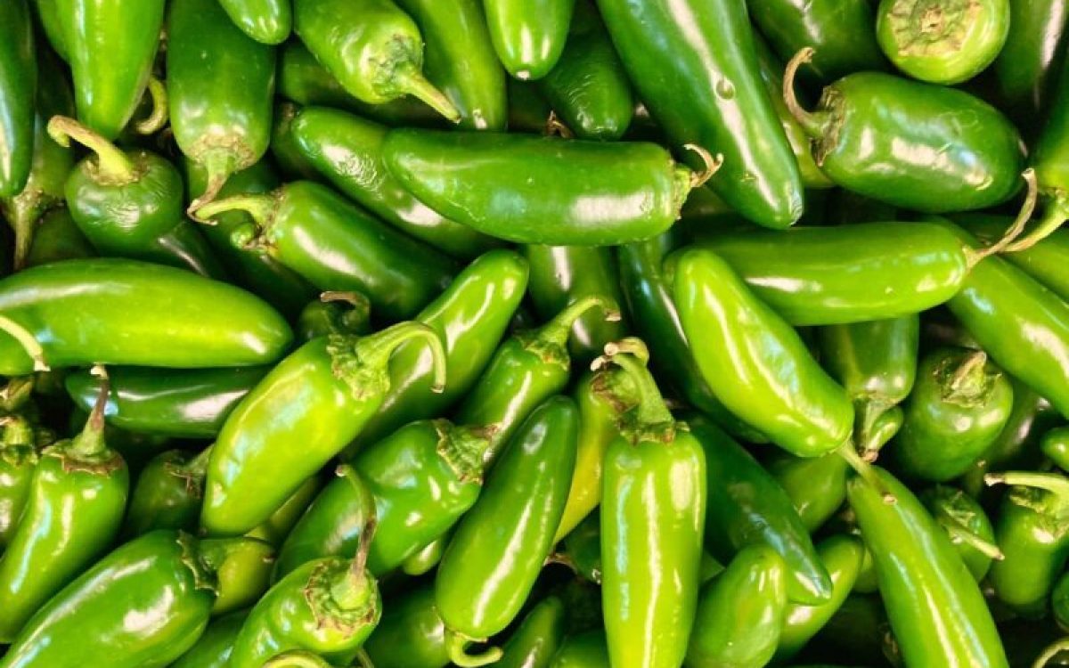 Piment Jalapeño