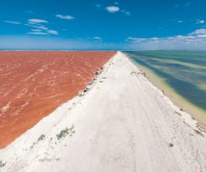 Río Lagartos