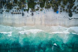Vue aérienne d’une plage tropicale bordée de palmiers