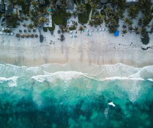 Vue aérienne d’une plage tropicale bordée de palmiers
