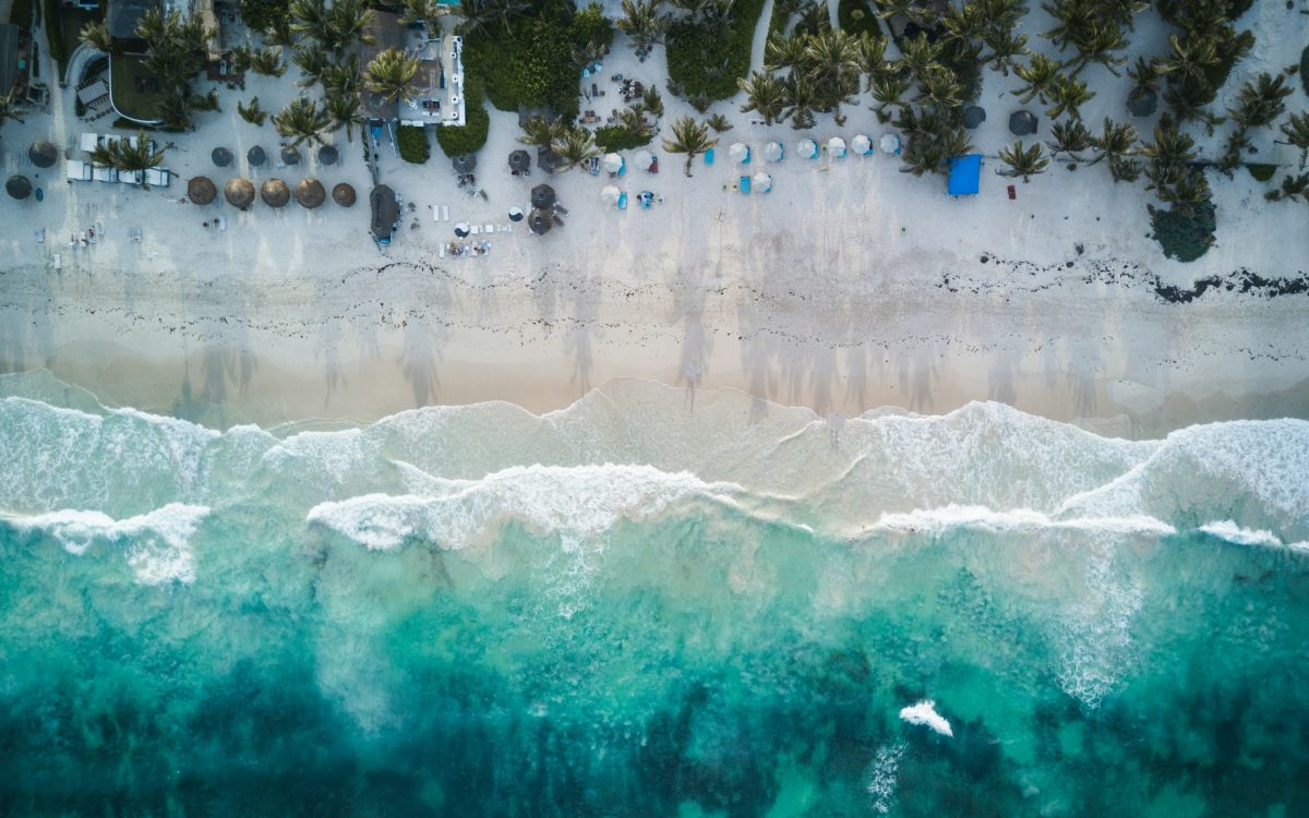Vue aérienne d’une plage tropicale bordée de palmiers