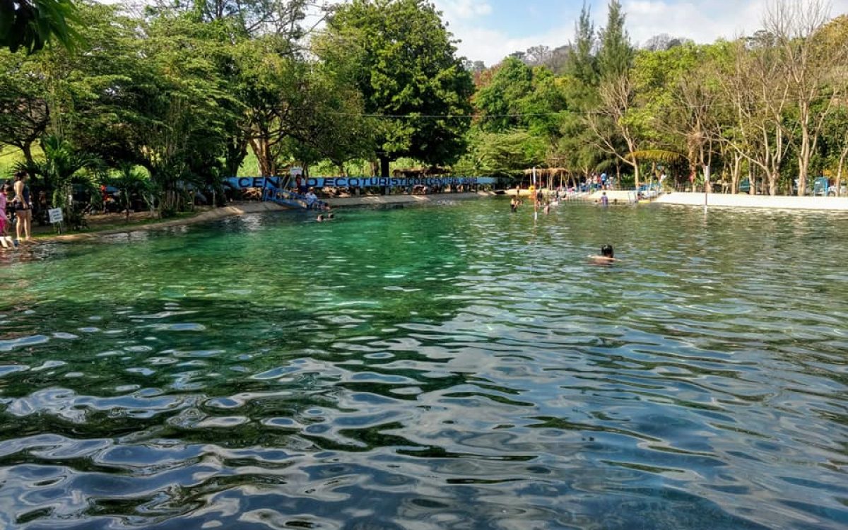 Bassin naturel entouré d’arbres avec baigneurs