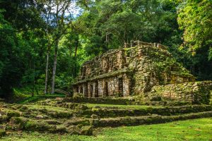 Yaxchilán : Notre guide Guide pour visiter cette cité maya perdue