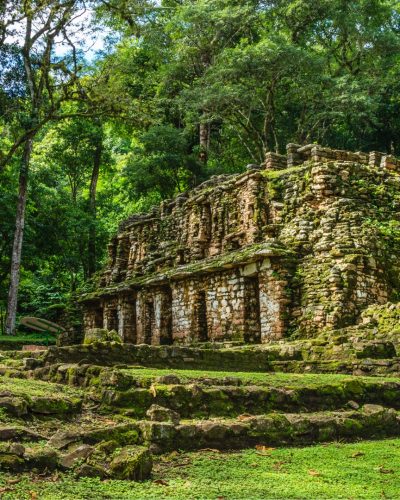 Yaxchilán : Notre guide Guide pour visiter cette cité maya perdue
