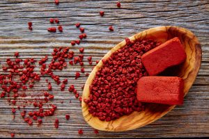 Tout savoir sur l’achiote (ou Roucou) du Mexique