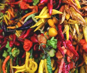Tout savoir sur l&rsquo;échelle de Scoville – L’échelle du piment