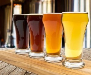 Notre guide des meilleures brasseries artisanales de Mexico