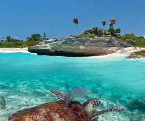 plages secrètes mexique